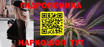 прущие крисы Изобильный