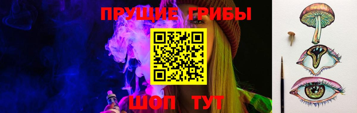 Псилоцибиновые грибы ЛСД  магазин  наркотиков  Аксай  Вход с VPN 
