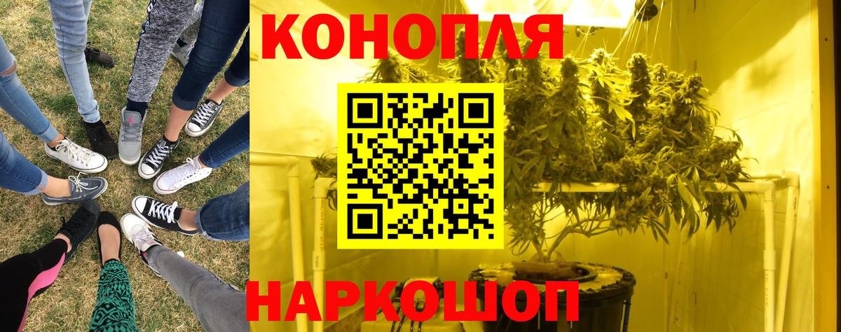 Бошки Шишки марихуана  МАРИХУАНА Bruce Banner  МАРИХУАНА план  Аксай  Каннабис марихуана  Вход с VPN 